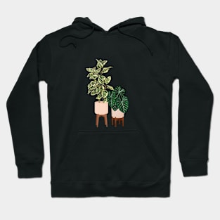 Potted Plants 11 Hoodie